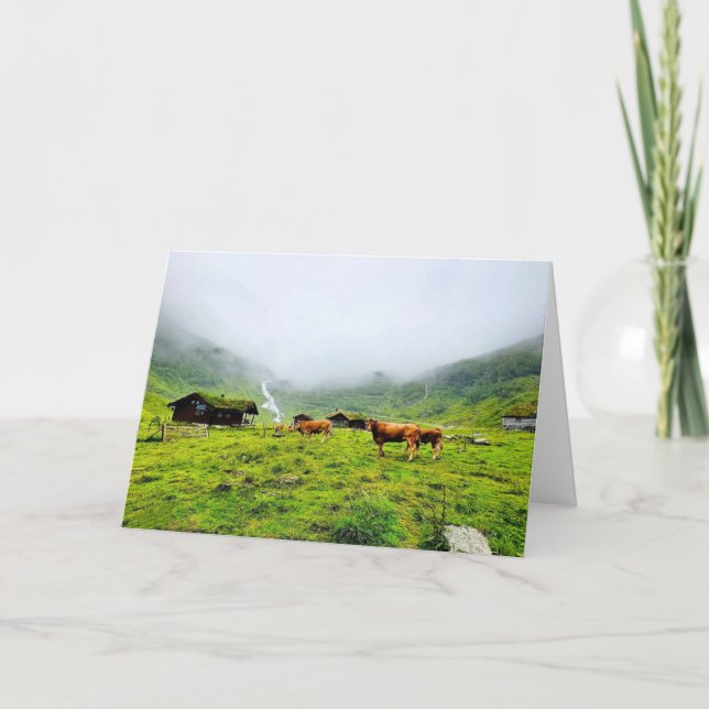 Remerciements Vaches de Norvège, Carte de voeux vierge (Devant)