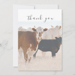 Remerciements Vaches rustiques dans le champ Carte de remercieme