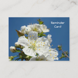 Reminder Cards Appointments Blue Sky Blossoms