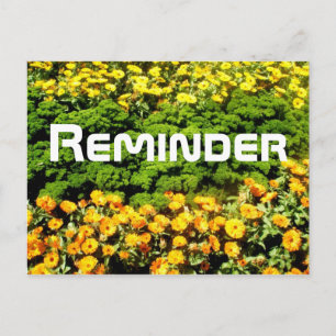 Reminder Postcard
