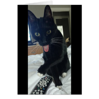 remote for chicken cat