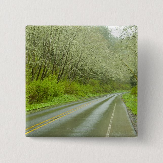 Remote highway through forest 2 inch square button (Front)
