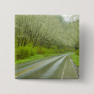 Remote highway through forest 2 inch square button