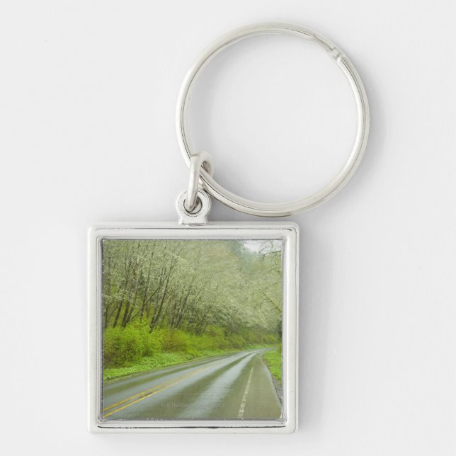 Remote highway through forest keychain (Front)