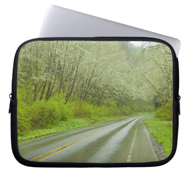 Remote highway through forest laptop sleeve (Front)