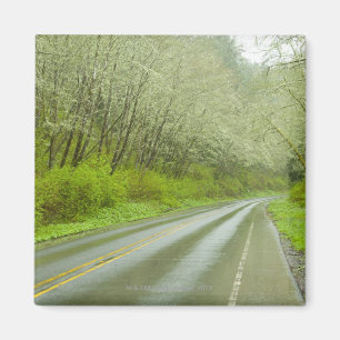 Remote highway through forest magnet
