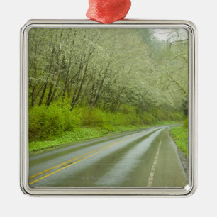 Remote highway through forest metal ornament