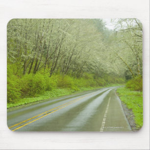 Remote highway through forest mouse pad