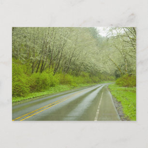 Remote highway through forest postcard
