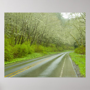 Remote highway through forest poster