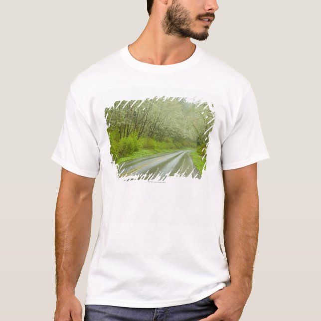 Remote highway through forest T-Shirt (Front)