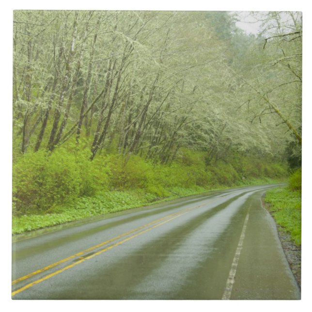 Remote highway through forest tile (Front)