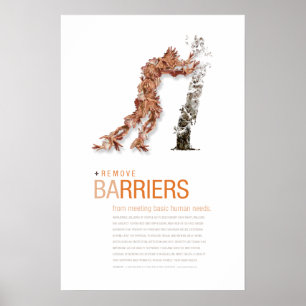 Remove Barriers: Sustainability Principle Poster