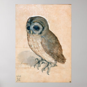 RENAISSANCE ANIMAL DRAWINGS / THE OWL POSTER