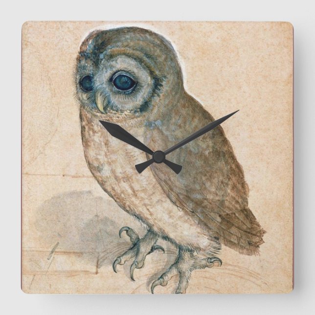 RENAISSANCE ANIMAL DRAWINGS / THE OWL SQUARE WALL CLOCK (Front)