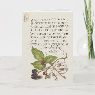 Renaissance Blackberry Fruit Calligraphy Card