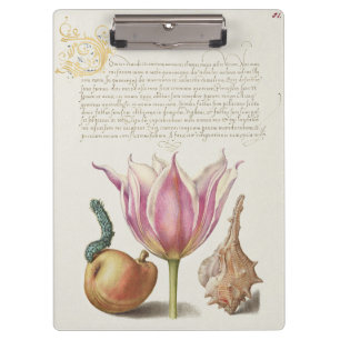 Renaissance Calligraphy Art Pink Tulip and Pear Clipboard