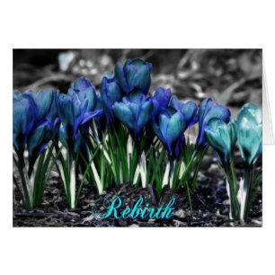 Renaissance des fleurs de Crocus bleu Aqua