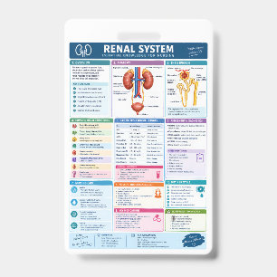 Renal System Analysis Nursing Reference, Kidney Ba Badge