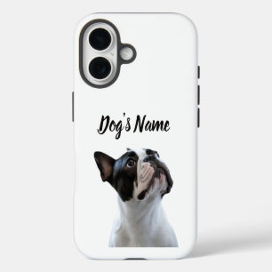 Rename your bulldog French dog on your iPhone 16 Case