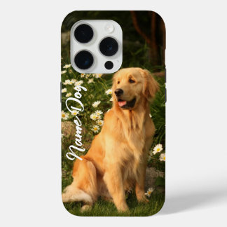 Rename your Golden Retriever dog on the phone case