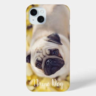 Rename your Pug Dog dog on the phone case