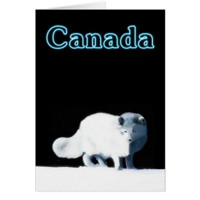 Renard arctique (Devant)