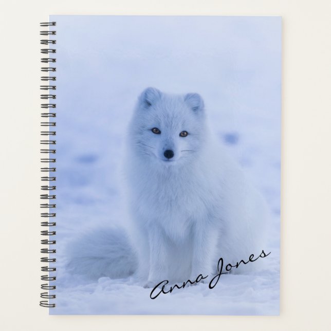 Renard arctique (Devant)