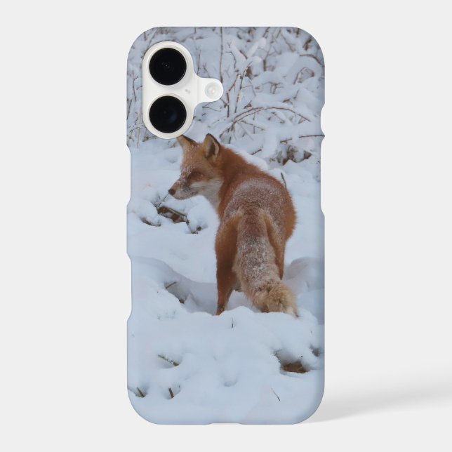Renard d'hiver (Verso)