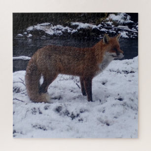 Renard rouge dans le Puzzle de scie à neige
