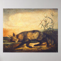 Renard rouge long-courrier - Poster d'art raffiné 