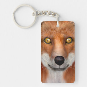 Renard roux