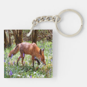 Renard roux Campanules bois faune animal cadeau