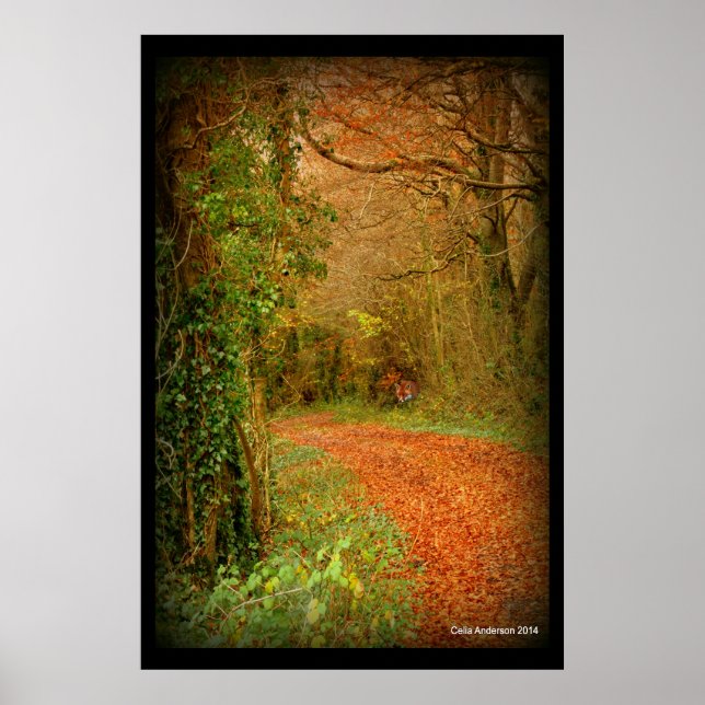 Renard sur le Golden Path Poster ~ Imaginaire (Devant)