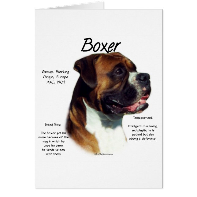 Rencontrez la race (Devant)