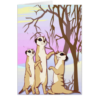 Rencontrez les meerkats, famille dans la neige