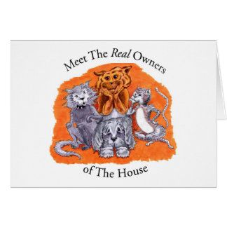 Rencontrez les vrais propriétaires de la Chambre