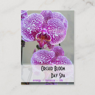 Rendez-vous pourpre varié de photo d'orchidée