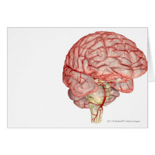 Rendu de Realitic de l'esprit humain