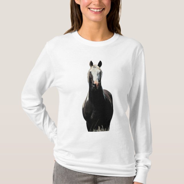 Renegade Long-sleeve Shirt (Front)