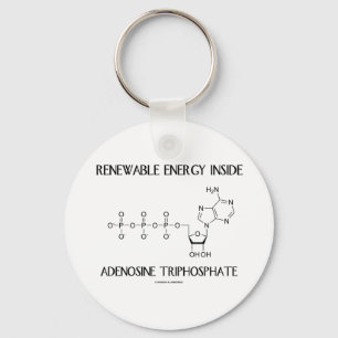 Renewable Energy Inside Adenosine Triphosphate Keychain