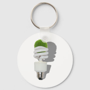 RenewableResources062210Shadows Keychain