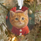 Renne Chatons