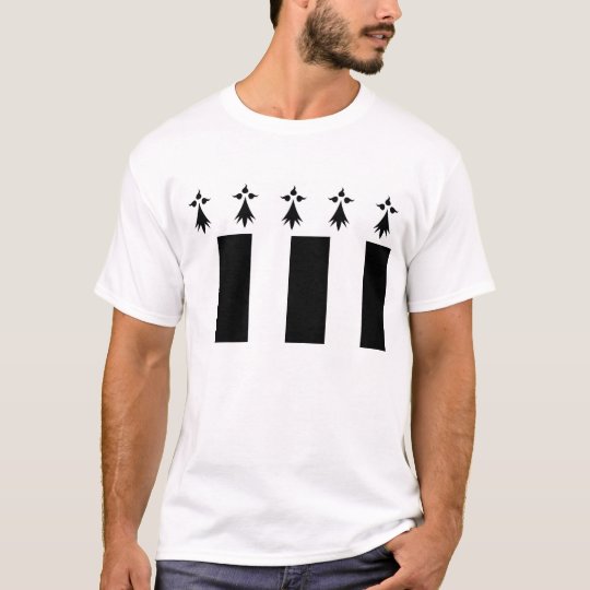 rennes city flag france brittany region symbol T-Shirt