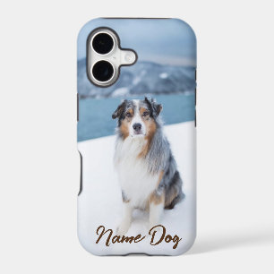 Renommez votre chien de berger des Shetland sur le