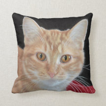 Renoncule le coussin tigré orange de dessin