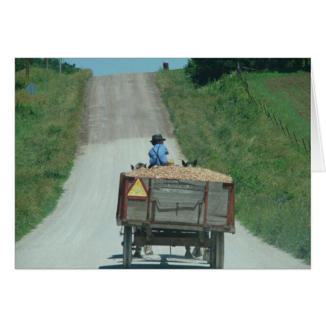 Rentrer à la maison (Devant horizontal)