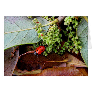 Rentrer à la maison pour le souper