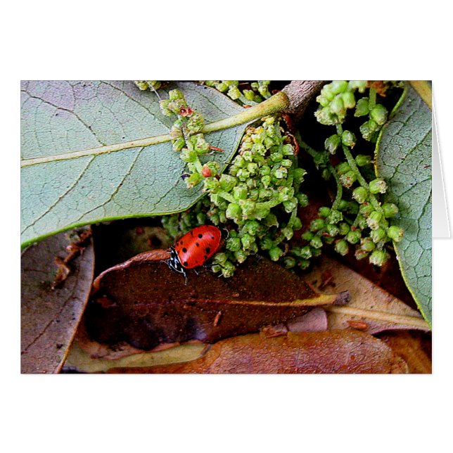 Rentrer à la maison pour le souper (Devant horizontal)