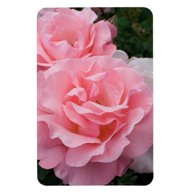 Replace Roses Photo Vertical Make Personalized Magnet (Vertical)